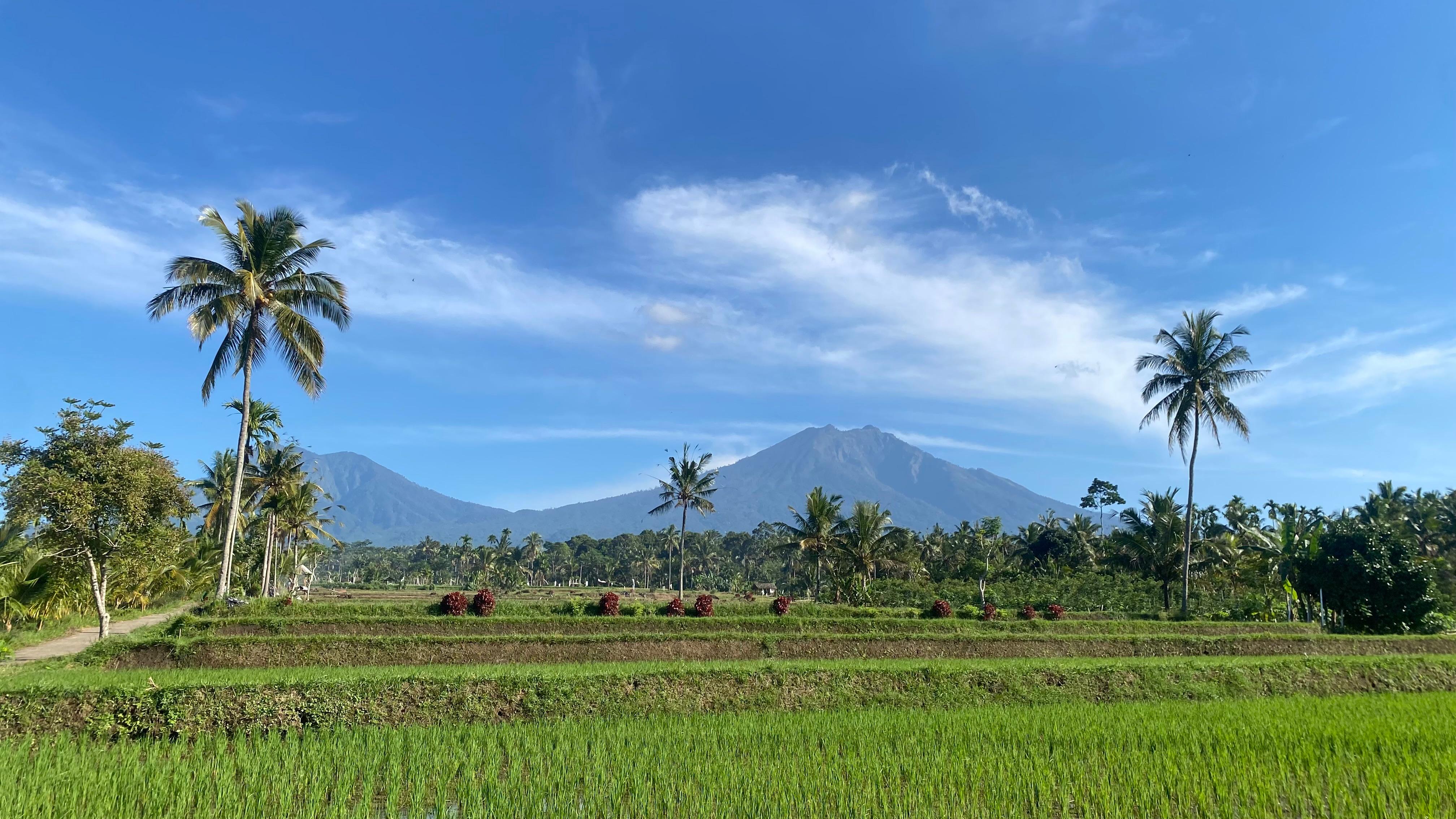 Galeri Desa Pesucen