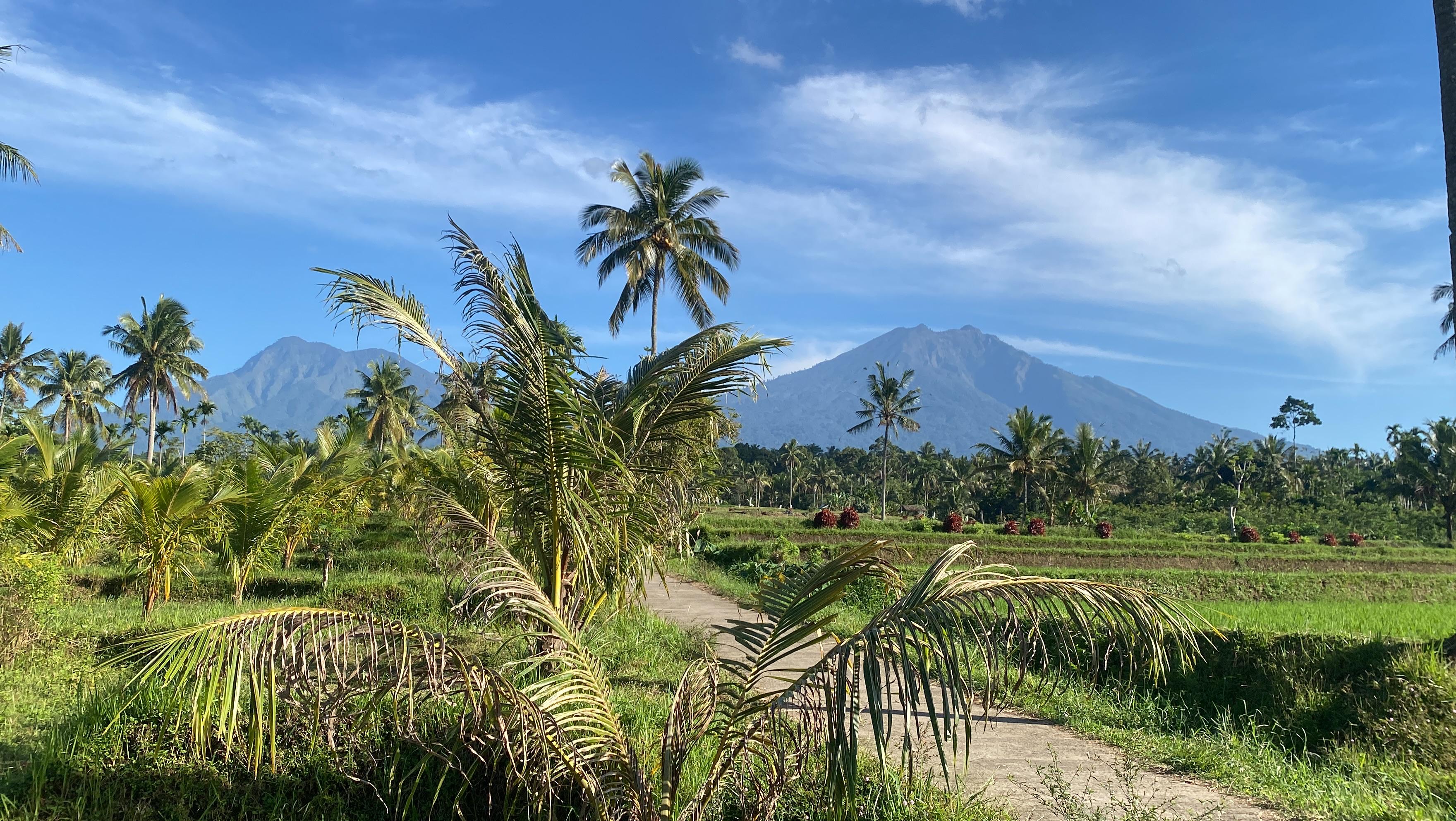 Galeri Desa Pesucen